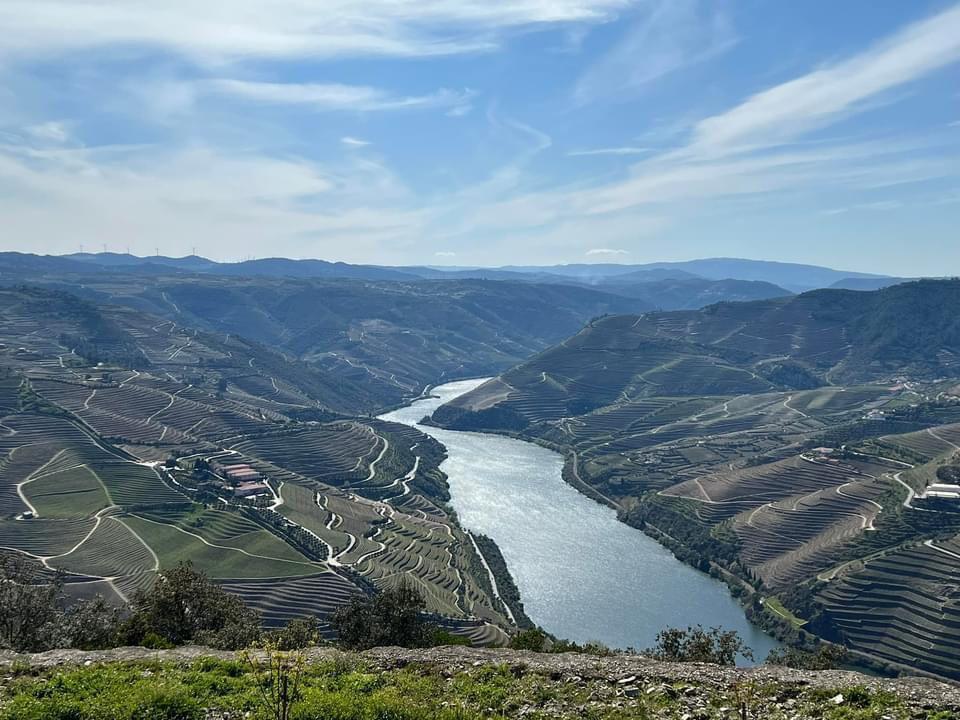 Panoramic view of the Douro Valley at golden hour