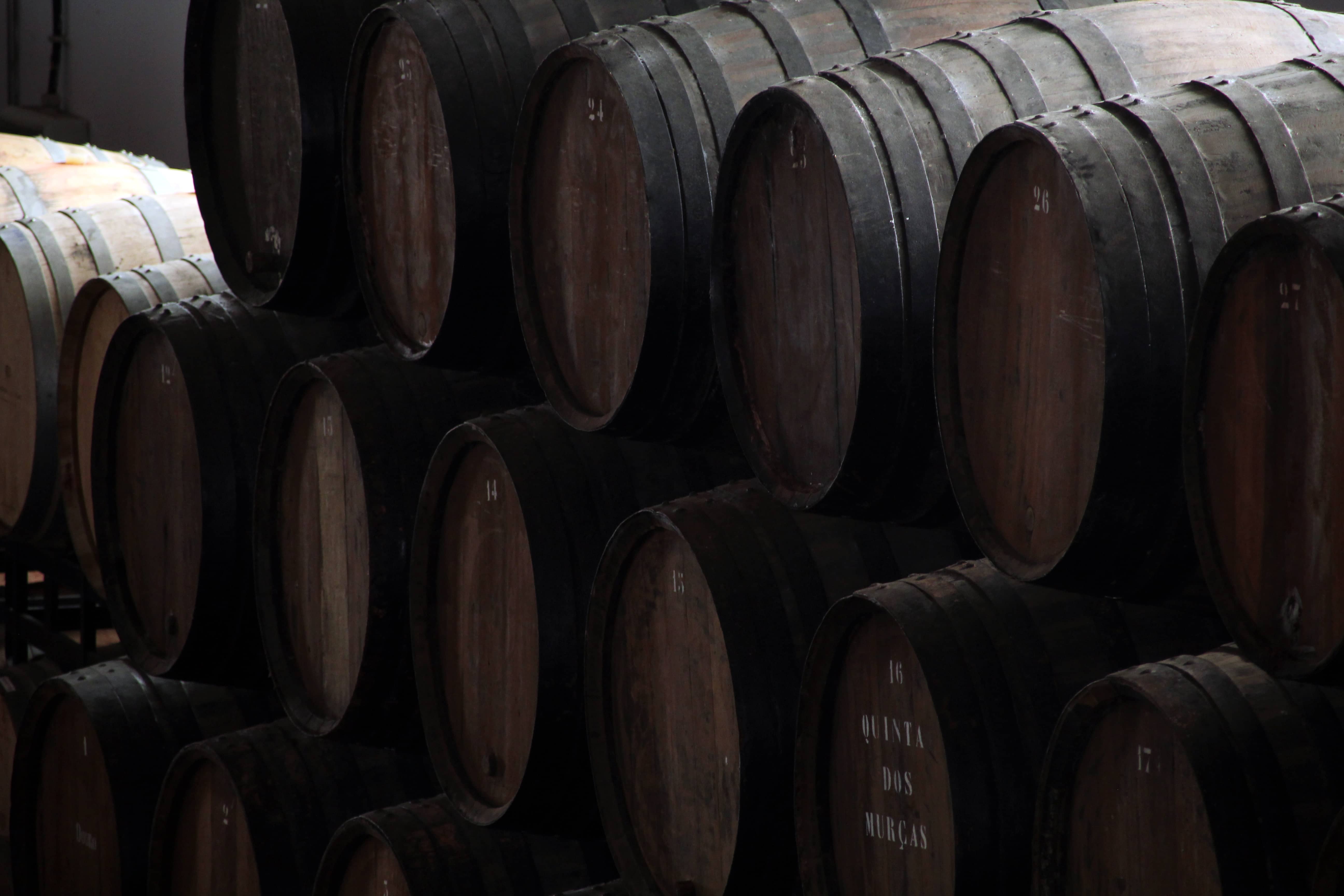 Day 3, Wednesday: The Douro Line, the Cellars and the Gin